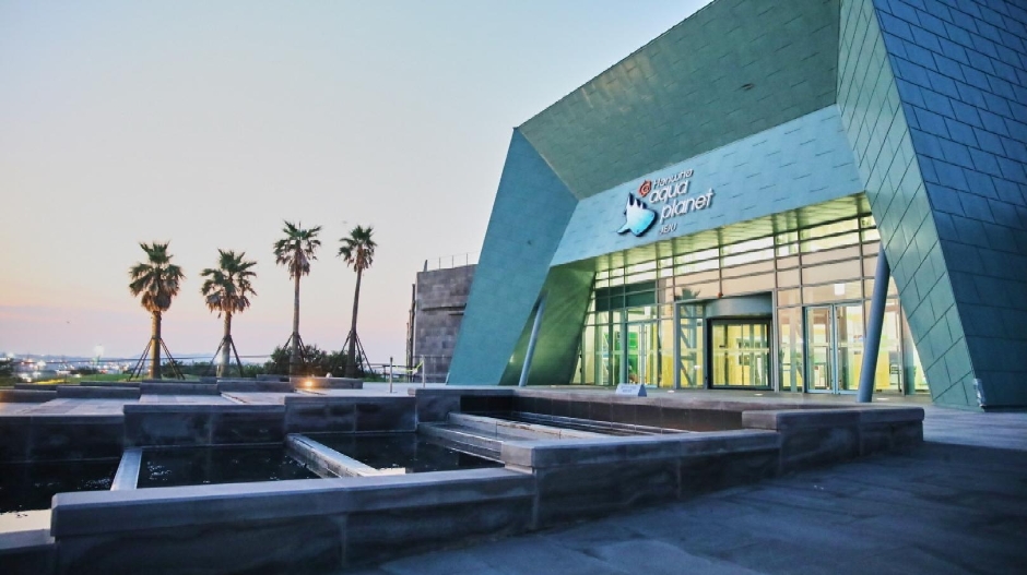 Jeju City — What Locals & Foreigners Really Say (2026)