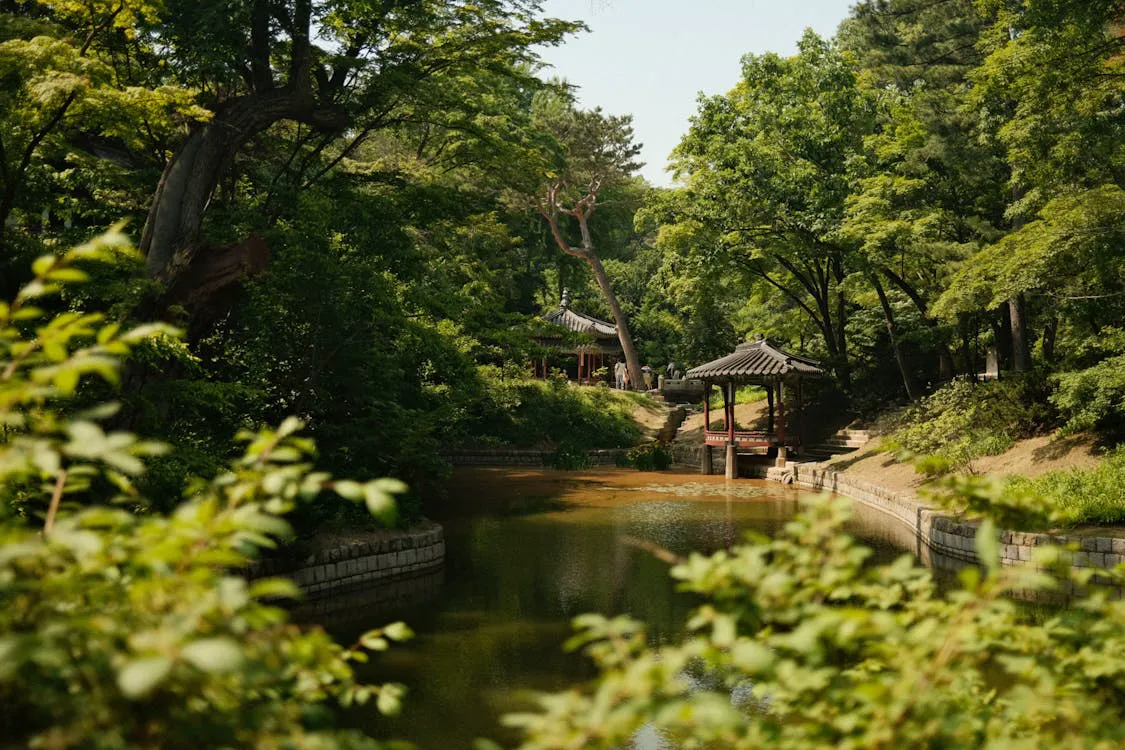 Cafes Near Nami Island — Complete Directory (2026)